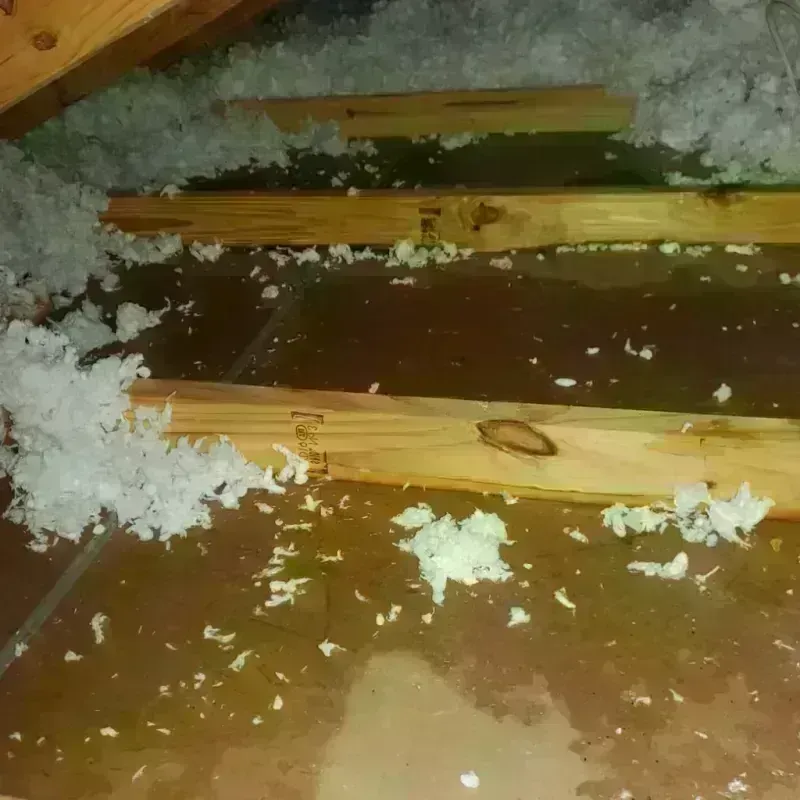 Attic Water Damage in Loup County, NE